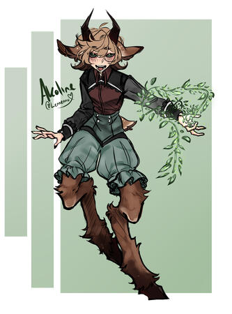 Akoline DND Character